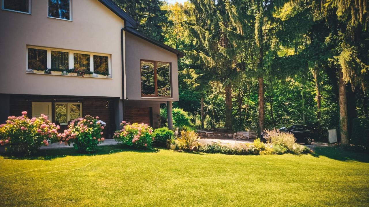 Villa-Apartments Bognar Velika Eksteriør bilde
