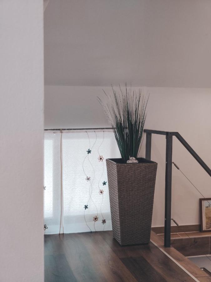 Villa-Apartments Bognar Velika Eksteriør bilde