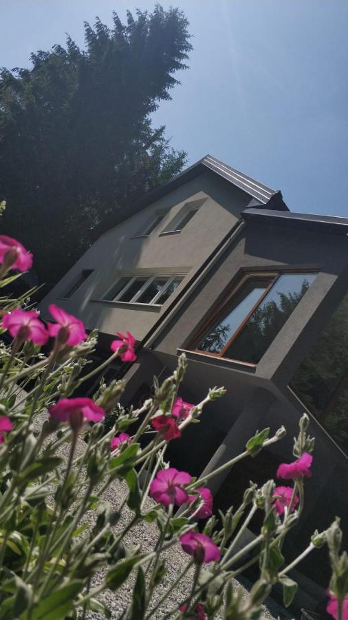 Villa-Apartments Bognar Velika Eksteriør bilde